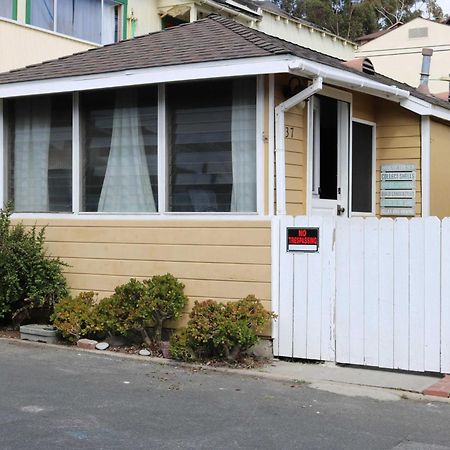 Catalina Island Cottage - Walk To Main St And Beach! 阿瓦隆 外观 照片